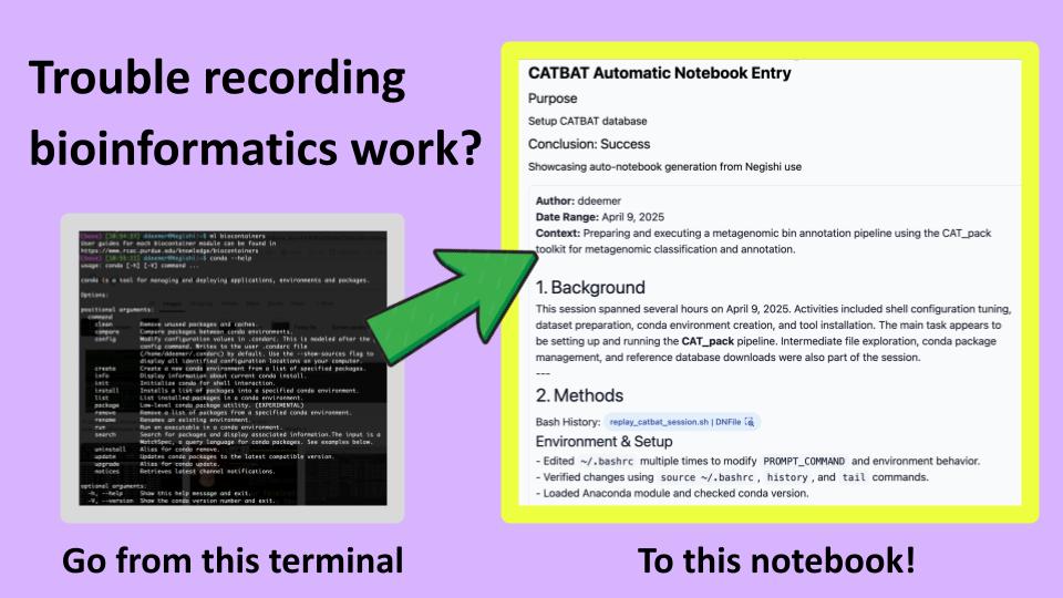 shell-sync preview